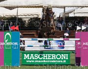 Vizzini Quinta Roo TosTour2013- S5 2565 : Arezzo, Arezzo Equestrian Centre, Quinta Roo, Toscana Tour 2013, Vizzini Lucia, foto di Stefano Secchi ©